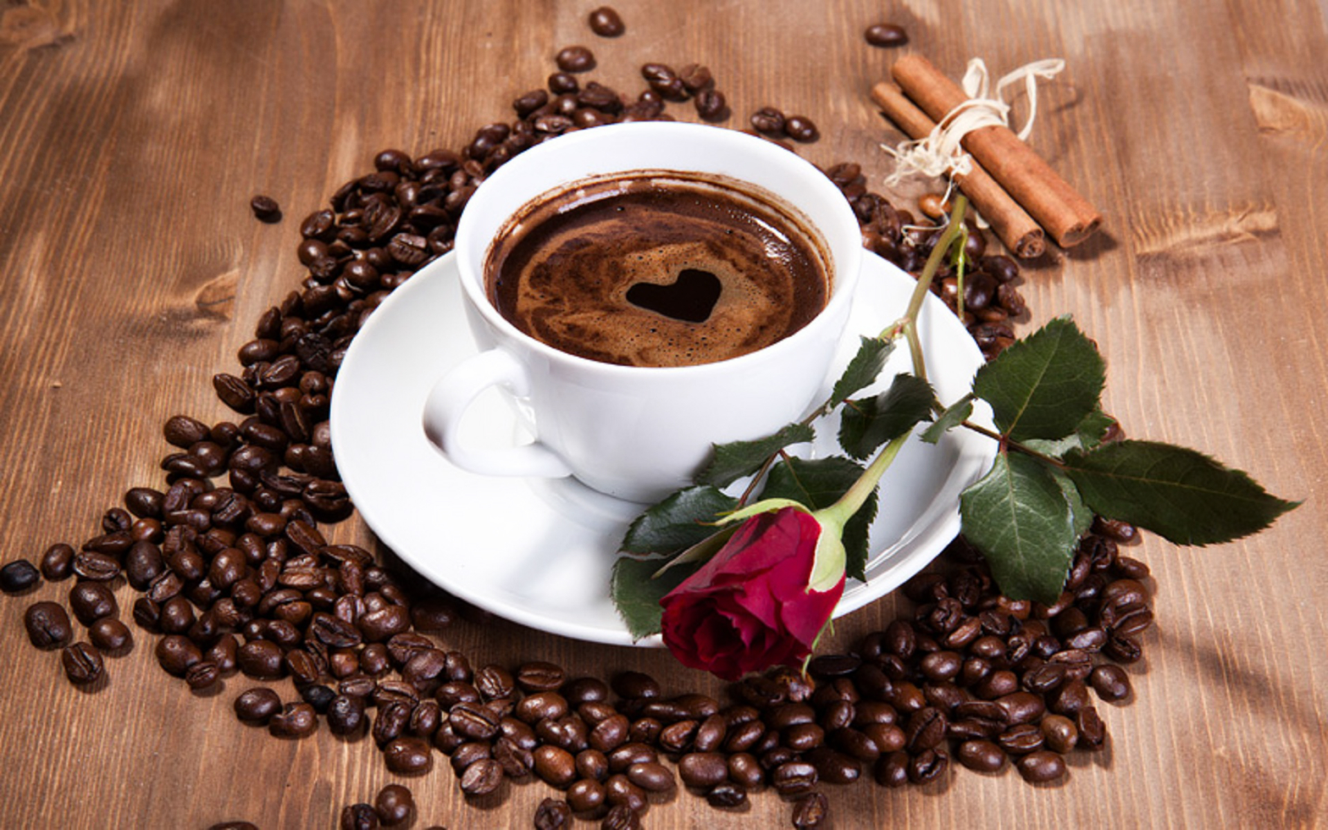 Coffee Cup